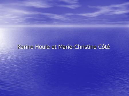 Karine Houle et Marie-Christine Côté. Les Entreprises.