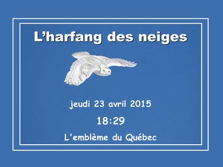 L’harfang des neiges vendredi 14 avril 2017 08:13 L'emblème du Québec.