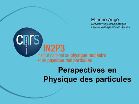 Journées Informatiques IN2P3-Irfu - 17 mai 2010 Etienne Augé Directeur Adjoint Scientifique Physique des particules - Calcul Perspectives en Physique des.
