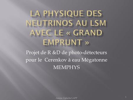 La physique des neutrinos au LSM avec le « Grand Emprunt »