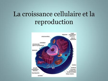 La croissance cellulaire et la reproduction