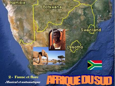 2 - Faune et flore Musical et automatique L’Afrique du Sud Grande richesse de la faune visible dans les principales réserves et parcs: lions, éléphants,