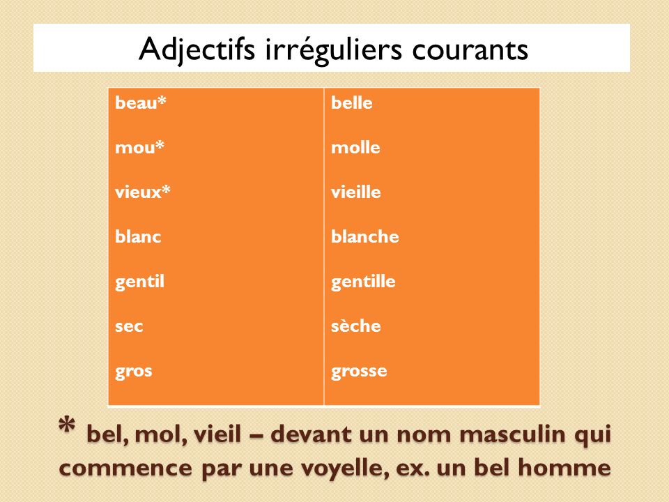 Afbeeldingsresultaat voor le masculin et le fÃ©minin des adjectifs qualificatifs formes irrÃ©guliÃ¨res