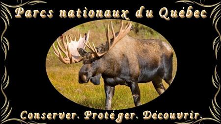 Il y a en date au Québec 26 parcs nationaux qui protègent une superficie de ,91 km2, soit environ 2,2 % du territoire de la province. Les parcs nationaux.