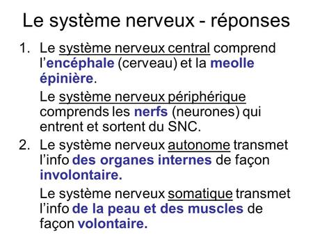 Le système nerveux - réponses
