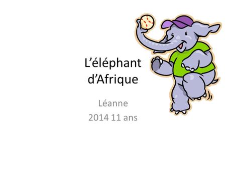 L’éléphant d’Afrique Léanne 2014 11 ans.