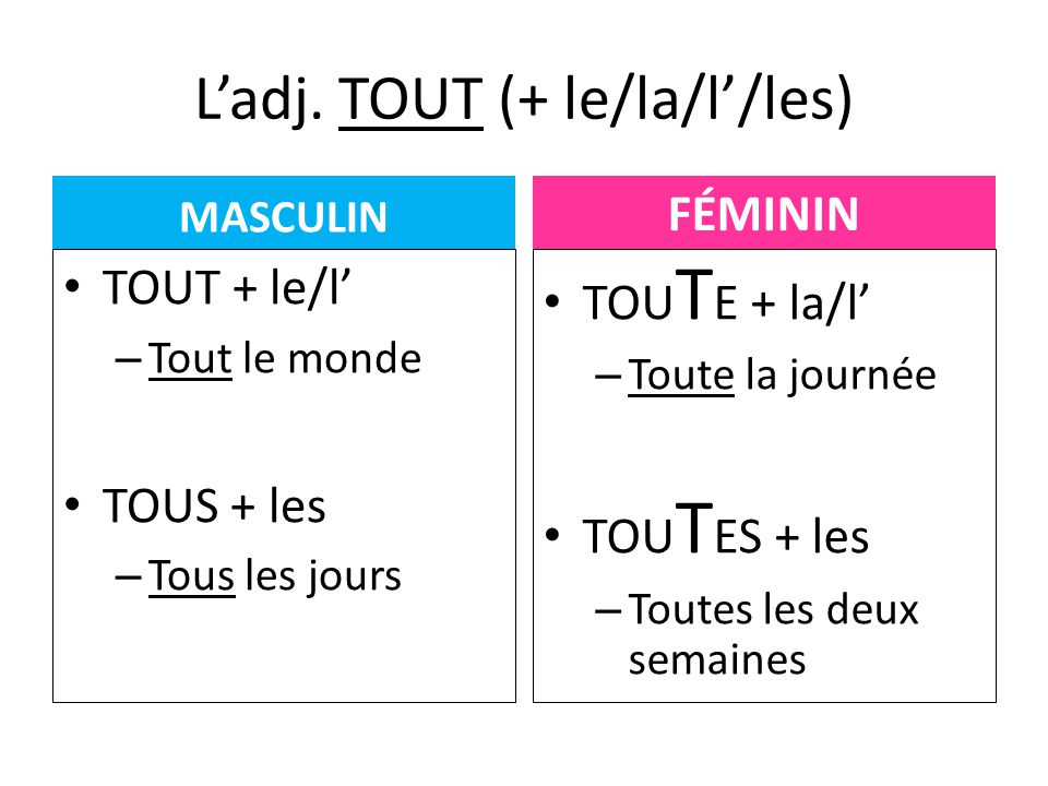 homonymes-francais-facile