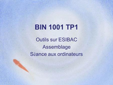 BIN 1001 TP1 Outils sur ESIBAC Assemblage S é ance aux ordinateurs.