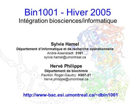 Bin1001 - Hiver 2005 Intégration biosciences/informatique Sylvie Hamel Département d’informatique et de recherche opérationnelle André-Aisenstadt: 3161.