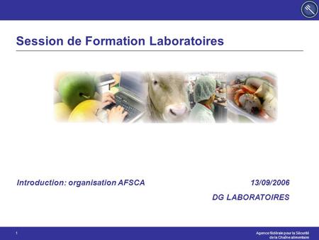 Agence fédérale pour la Sécurité de la Chaîne alimentaire 1 Session de Formation Laboratoires 13/09/2006 DG LABORATOIRES Introduction: organisation AFSCA.