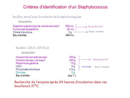 Critères d’identification d’un Staphylococcus