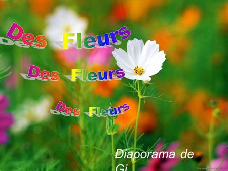 Des Fleurs Des Fleurs Des Fleurs Diaporama de Gi.