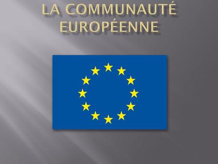 la Communauté Européenne