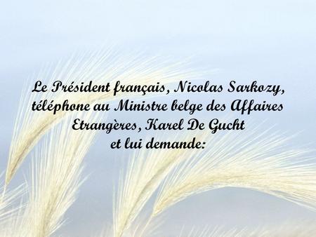 Le Président français, Nicolas Sarkozy, téléphone au Ministre belge des Affaires Etrangères, Karel De Gucht et lui demande: