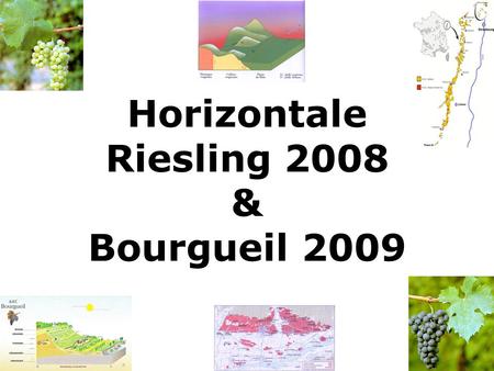 Horizontale Riesling 2008 & Bourgueil 2009. Le Riesling Caractéristiques Originaire d’Allemagne Rendements naturellement élevés (rendements moyens 40.