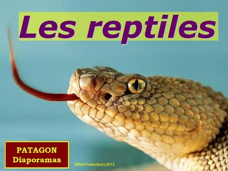 Les reptiles 5KNA Productions 2013.