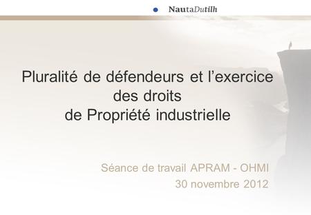 Pluralité de défendeurs et l’exercice des droits de Propriété industrielle Séance de travail APRAM - OHMI 30 novembre 2012.