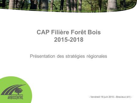 CAP Filière Forêt Bois 2015-2018 Présentation des stratégies régionales - Vendredi 19 juin 2015 – Bracieux (41) -