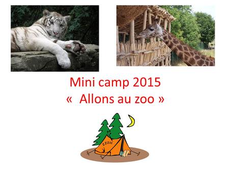 Mini camp 2015 « Allons au zoo ». Un an avant … Nous avions proposé un camp équestre. 17 enfants sont partis. Nous avons campé au camping à la ferme de.