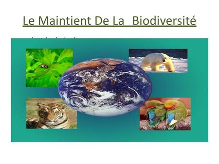 Le Maintient De La Biodiversité