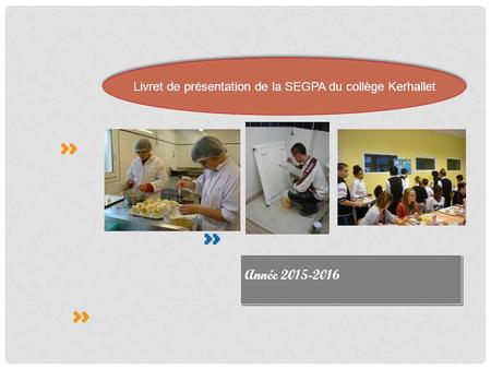 Livret de présentation de la SEGPA du collège Kerhallet