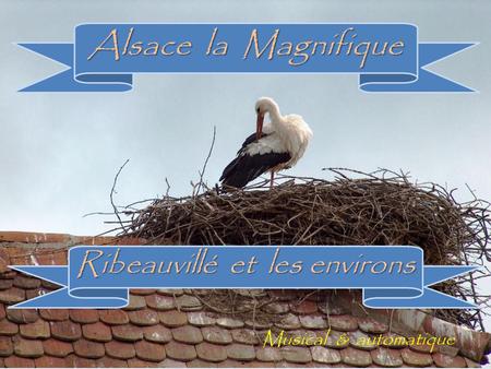 Ribeauvillé et les environs Musical & automatique Alsace la Magnifique.