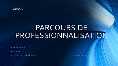 PARCOURS DE PROFESSIONNALISATION