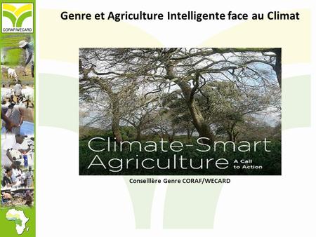 Genre et Agriculture Intelligente face au Climat