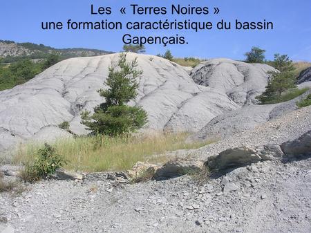 une formation caractéristique du bassin Gapençais.