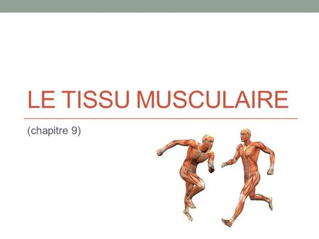 Le tissu musculaire (chapitre 9).