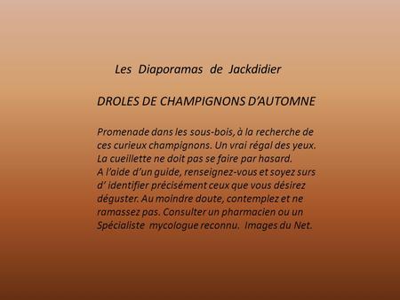 Les Diaporamas de Jackdidier DROLES DE CHAMPIGNONS D’AUTOMNE