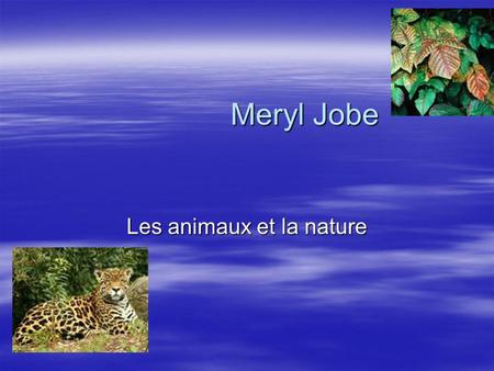 Meryl Jobe Les animaux et la nature Les plantes naturelles Les plantes naturelles La nature et des plantes. Les plantes sont des choses qui poussent.