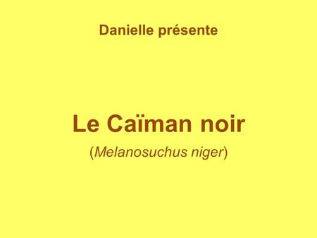 Danielle présente Le Caïman noir (Melanosuchus niger)
