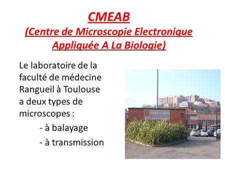 CMEAB (Centre de Microscopie Electronique Appliquée A La Biologie)