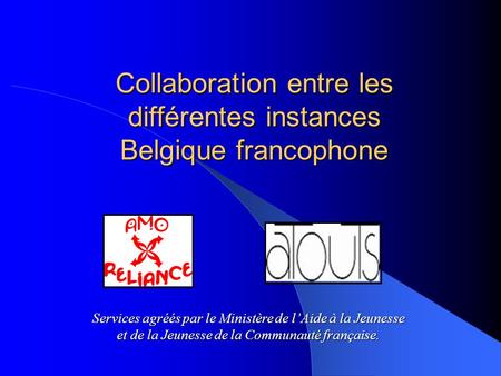 Collaboration entre les différentes instances Belgique francophone Services agréés par le Ministère de l’Aide à la Jeunesse et de la Jeunesse de la Communauté.