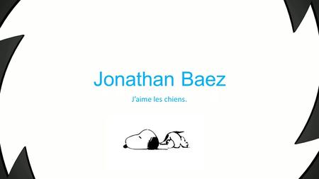 Jonathan Baez J’aime les chiens..