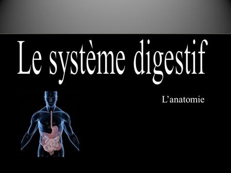 Le système digestif L’anatomie.