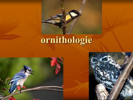 Ornithologie.