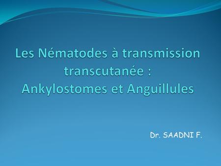 Les Nématodes à transmission transcutanée : Ankylostomes et Anguillules Dr. SAADNI F.