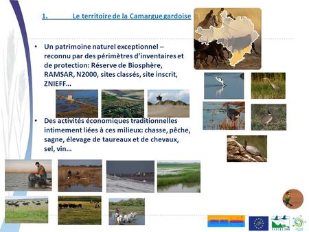 1.Le territoire de la Camargue gardoise Vaste zone humide de 50 000 ha Un patrimoine naturel exceptionnel – reconnu par des périmètres d’inventaires et.