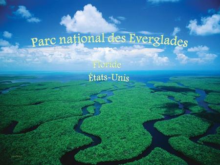 Le parc national des Everglades, situé en Floride, aux États-Unis, s'étend sur les comtés de Miami-Dade, Monroe et de Collier. Le parc est la plus grande.