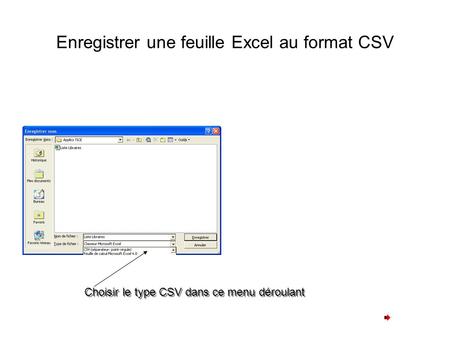 Enregistrer une feuille Excel au format CSV