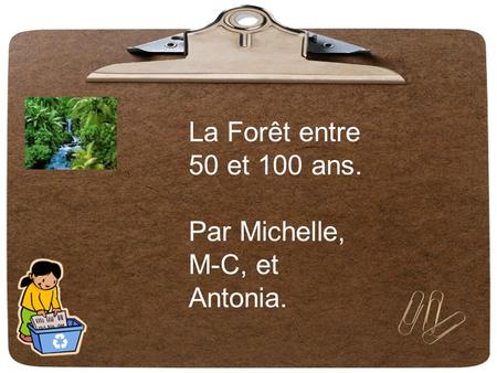 La Forêt entre 50 et 100 ans. Par Michelle, M-C, et Antonia.