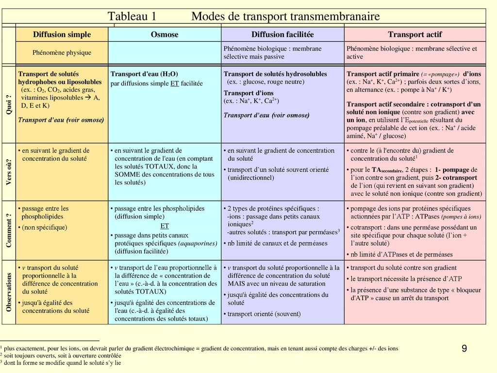 PHYSIOLOGIE DES MEMBRANES 2e partie cellules vivantes ppt télécharger