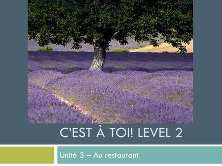 C’EST À TOI! LEVEL 2 Unité 3 – Au restaurant. Contexte:  Vous dinez dans un restaurant très chic en Provence avec un ami  Vous êtes en train de regarder.