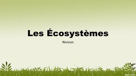 Les Écosystèmes Révision.