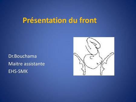 Présentation du front Dr.Bouchama Maitre assistante EHS-SMK.