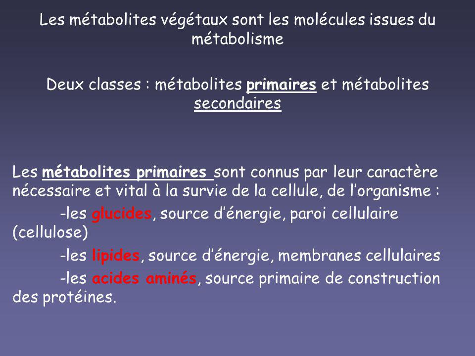 PDF Métabolisme d une cellulaire PDF Télécharger Download