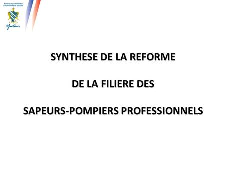SAPEURS-POMPIERS PROFESSIONNELS