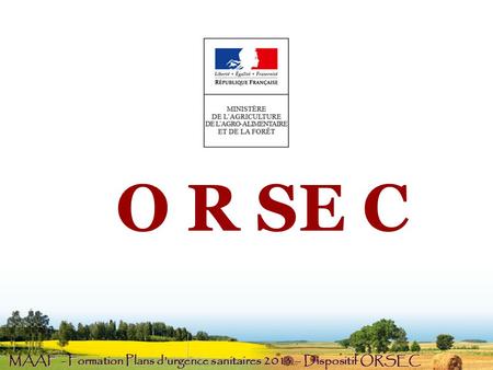 O R SE C MAAF - Formation Plans d’urgence sanitaires 2013 – Dispositif ORSEC 1.